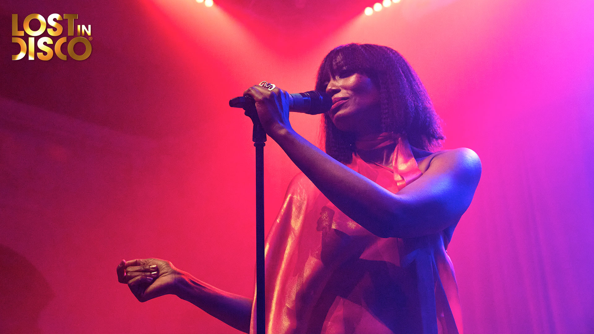 Folami performing at Lost In Disco in London alongside DJ Jason Regan and The Meyer Dancers Lost In Disco, London's greatest night of classic 70s disco, in March 2025 featuring Chic vocalist Folami, DJs Jason Regan and Jonnie Blackburn, and dance performance from The Meyer Dancers